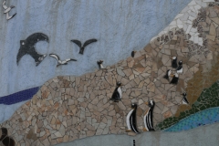 Pinguine in Ushuaia - genaue Spezies unbekannt...