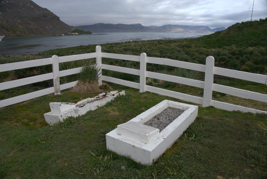 Grytviken Friedhof #2