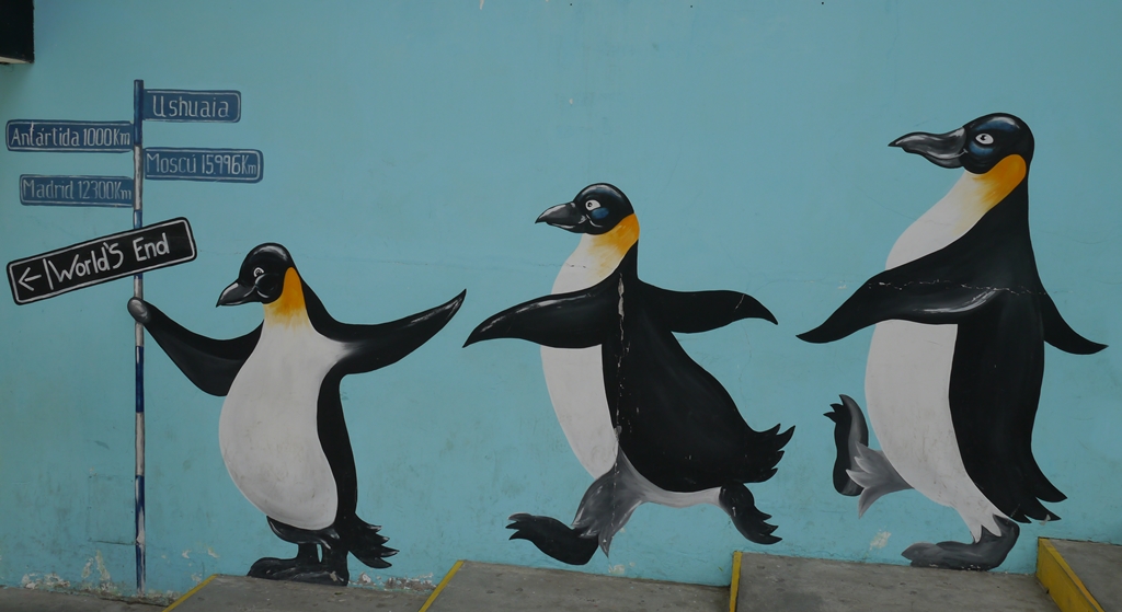 noch mehr Pinguine (ebenfalls unbekannte Spezies)