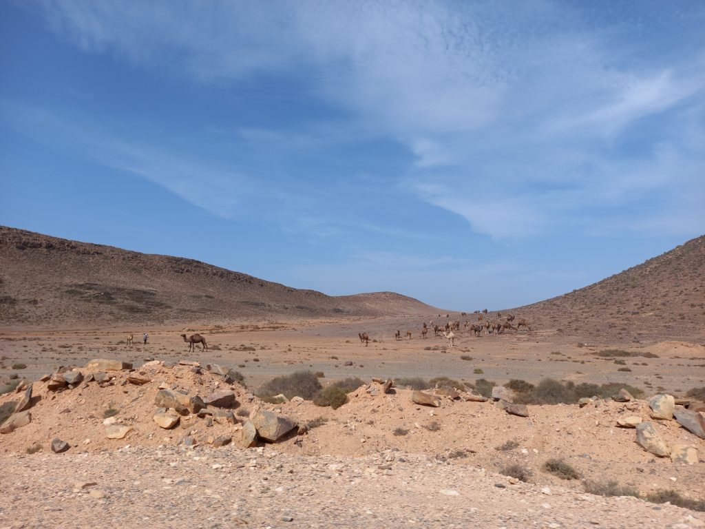 Auf dem Weg zur Küste